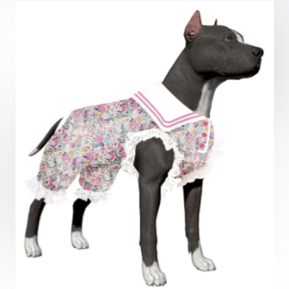 Chic Floral Dog Dress with Lace Accents